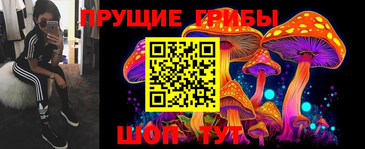 Галлюциногенные грибы мухоморы Светлоград